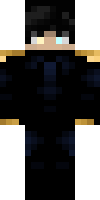 MapxCentry's skin