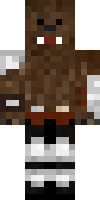 Pro_MiniBacca123's skin