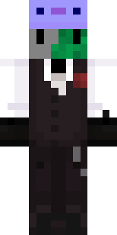SamZkilz's Minecraft skin