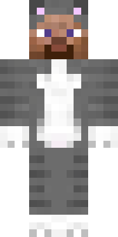 Minecraft skin preview