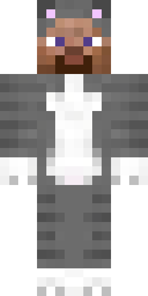 Steve 的 2D 皮肤预览