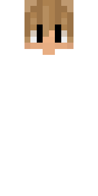 Skin render for Teste