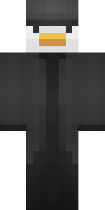 Unsupport Skin