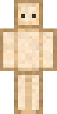 _Thundershield_ Skin