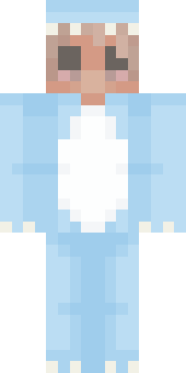 chlls's Minecraft skin