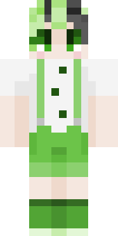 llasrr's Minecraft skin
