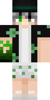 qhonk's Minecraft skin