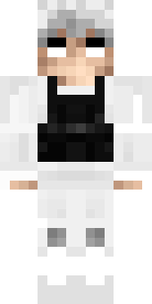 shininq's Minecraft skin