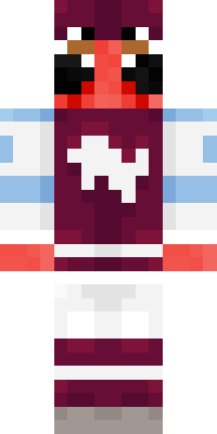 snw skin