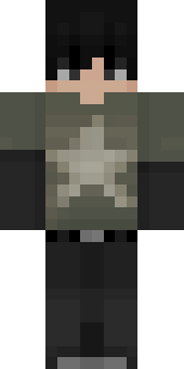 sure1351's Minecraft skin