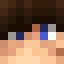 Image of Tischling's skin