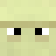 Image of MrShulkr's skin