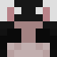 Image of hilce's skin