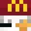 Acedicus