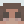 AndryFox_14