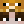 Animals_ciao_