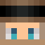 Bims_sh