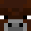 Bison