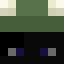 Cleanest_Frog