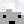 Connor_IO