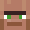 Derpa_Turtle
