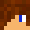 DragonProfie