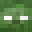 skin_head