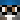 {player}