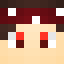 FORNET