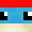 FloppyMC
