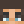 Fox_Gamer_28