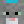 GrayTabby