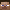 LightAchiever4