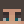 MISTIC_FROG