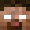 Minecraftersky