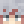 NATHAN_PRO