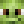Nicoo2