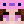 Nicoswitch4321