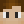 NotFisho