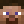 Nowamy