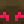OnlyG_