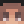 PIXE0089