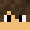 Phoenix_King47