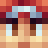 Poncho_9247
