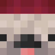 Pug300_