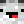 Racc00ns_
