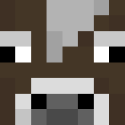 Ryderrr11 Minecraft Avatar