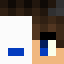 Sim1F
