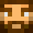 Slyant