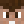 StepBroWqvez